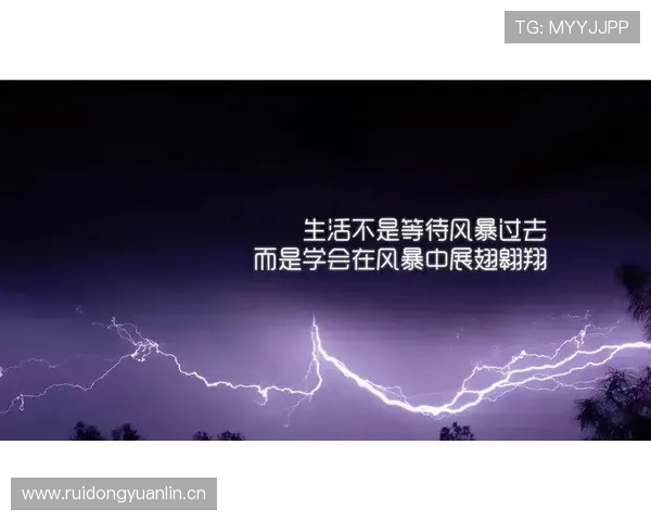 赛斯感慨湾区给予的爱与支持争冠之路充满激情与期待